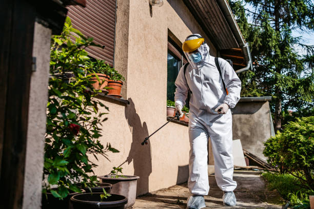 Best Local Pest Control Services  in Menands, NY
