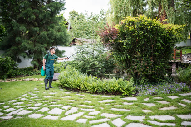 Best Emergency Pest Control  in Menands, NY