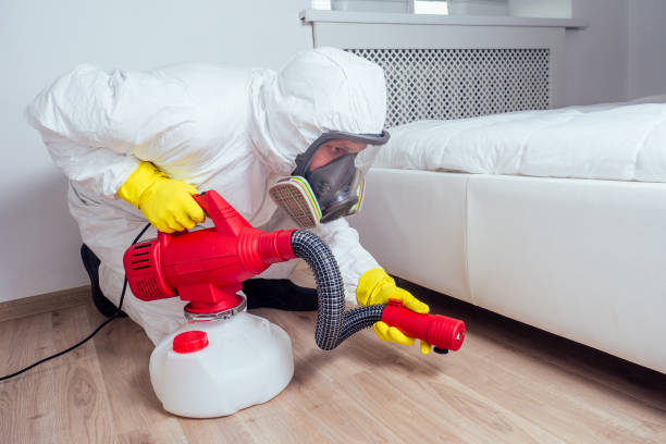 Best Pest Control Near Me in Menands, NY
