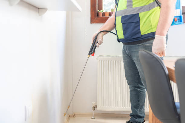 Trusted Menands, NY Pest Control Experts