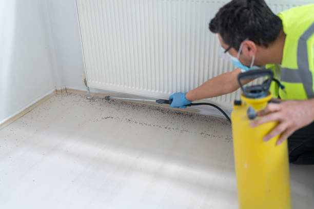 Best Commercial Pest Control Services  in Menands, NY